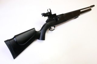 Pressluftgewehr - Walther Mod. Dominator 1250 mit RPV | 6,35mmDiabolo