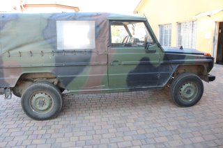 Jagdbegleitfahrzeug Wolf GD 250