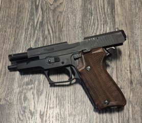 Sig P220 9mm mit 2 Magazinen und Wechselsystem .22lr