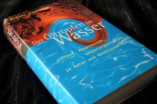 Der Öltropfen im Wasser - Chaos Komplexität Selbstorganisation in Natur und Gesellschaft