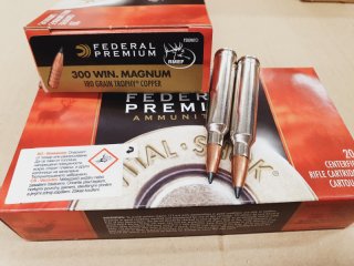 .300WinMag/180 grs. Federal Trophy Copper 20 stk. bleifrei # SSZ Berka