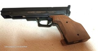 gamo compact