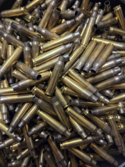 1000 Aguila Hülsen 223 rem aus 1 Los