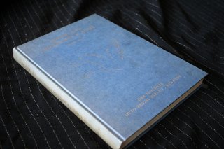 ABENDLAND - HÜTER DER FLAMME Frederic Lionel