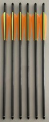 6 original Carbonbolzen 16" von Ek Archery Research