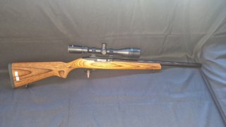 Halbautomatische Büchse Ruger Target 10/22 .22lr