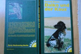 DAIKO UND DER KAUZ