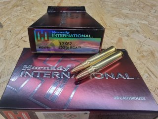 9,3x62/250grs. ECX Bleifrei Hornady International 20 stk. No. 823084 # SSZ Berka