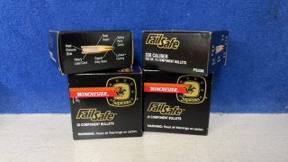 100 Winchester Fail Safe Kaliber 338