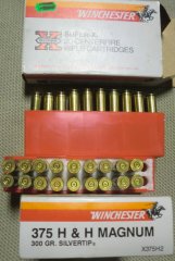 .375 H&H Magnum Hülsen Winchester