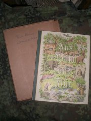 Antiquarisches Buch: altes Sammelbilderalbum - Aus Wald und Flur