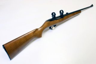 Selbstladebüchse - Ruger Mod. 10/17 mit Ruger Montageringen | .17HMR