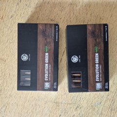 RWS .30 06 Evolution Green 9,0 g / 139 gr