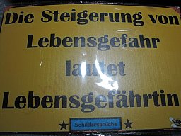 LEBENSGEFAHR... - wahrer Spruch auf Blech 20x30 cm