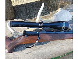 Mauser 66 S