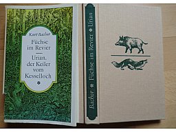 URIAN DER KEILER VOM KESSELLOCH - FÜCHSE IM REVIER