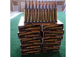 .223 Rem. (5,56mm) 55 Gr. FMJ Vollmantel