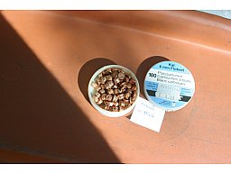 1 Dose Knallpatronen Cal 6mm Flobert Knall