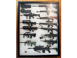 Große 1:6 Waffen-Sammlervitrine – FAMAS, Steyr AUG, FN P90, SIG, Minimi u.a. – ca. 15 Modelle