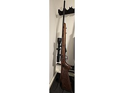 Savage Model 25 Lightweight Varminter-T im Kaliber .17 Hornet