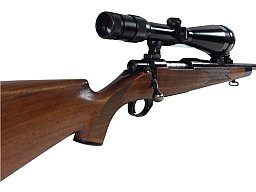 RWS Repetierer Mod. 89 im Kal. 8X68S mit variablem Glas bei taunus-waffen.de