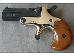 DERRINGER KALIBER .22 L.R. IN ZWEIFARBENOPTIK – TOP GELEGENHEIT