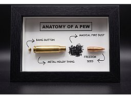 ANATOMY OF A PEW 7,62x51 .308 WIN kein wk2 Schaukasten Geschenk MUNITIONSDISPLAY