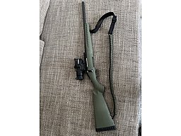 Ruger American Predator .308