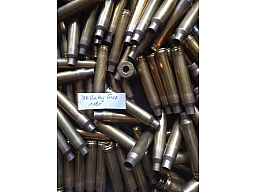 Hülsen .300 Win Mag Geco