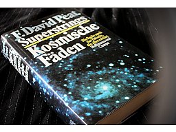 Superstrings Kosmische Fäden - Die Suche nach der Theorie die alles erklärt F. David Peat