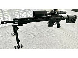 DAR-10 DMR - .308 - Matchwaffe