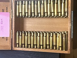 .222 Rem 130 RWS Hülsen