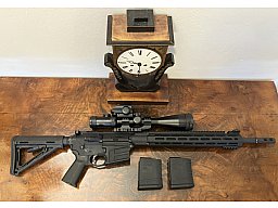 AR-10 SAVAGE MSR 10 HUNTER (.308 Win/7,62x51 NATO) inklusive DD-Zielfernrohr und Rotpunkvisier