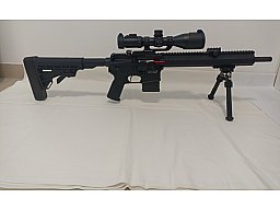 Tippmann M4-22 Elite GS .22lr + Timney & UTG Optik