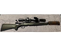 Steyr sm12 308