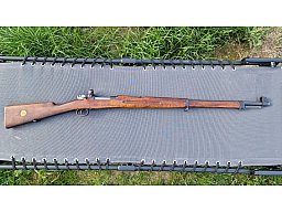 Schwedenmauser M96 mit Pramm Diopter