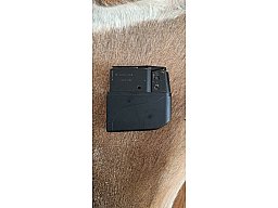 Sauer 303 5 Schuss Magazin