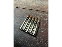 Dekomunition Patrone .308 verchromte Hülse
