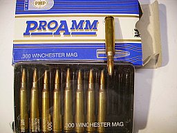 19 Stck .300Win Mag Patronen