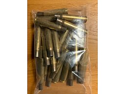 25 Hülsen .50BMG