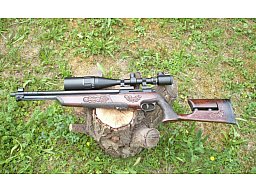 Luftgewehr WMN Airstrike