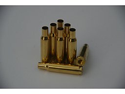 222 Rem Hülsen Hornady aus einem GEWICHTSLOS !! kalibriert und nass gereinigt !!