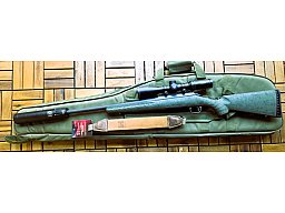 Glenfield by Ruger Repetierbüchse Kal. .308 Win.Hawke ZF 2,5-10x50,A-Tec H3 Schalldämpfer,Futteral