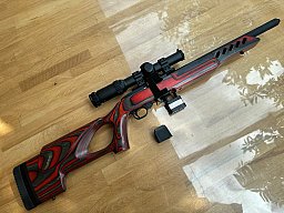 Ruger 10/22 mit Mamba ptisan ZF 4*24iR
