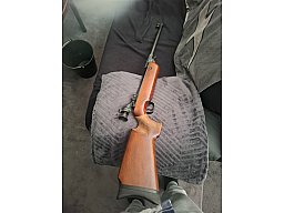 Wahlter lg 55