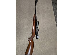 Ruger Luftgewehr Air Scout Rancher