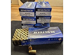 350 Stück MAGTECH .45 ACP Hülsen – kalibriert, entzündert & gereinigt