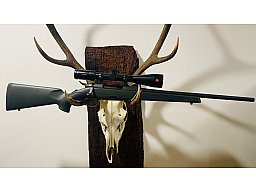 Steyr Mannlicher "SM 12 SX" .308win. Komplettangebot Neu u. sofort lieferbar v. Willenbach Gmbh