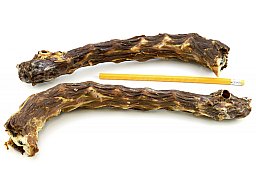 5 Stück PUTENHÄLSE getrocknet ca 0,5kg getrocknete Puten Hälse für Hunde NICHT splitternder Knochen