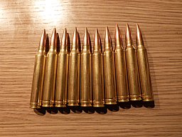 Dekomunition .300 Win Mag , 10 Stück
